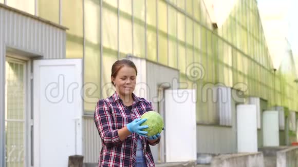 年轻的女人带着手套手里拿着红色的西红柿在温室里工作视频的预览图