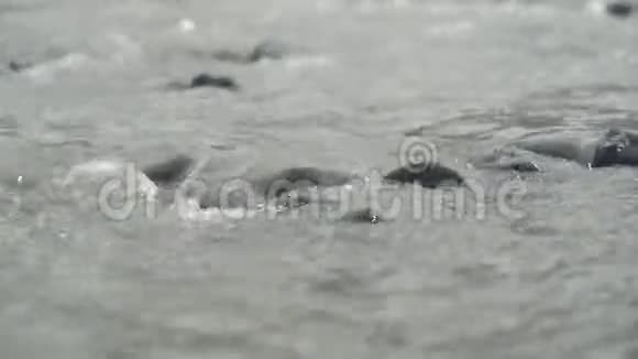 水流穿过石头视频的预览图