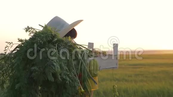 一个带着一盒新鲜蔬菜的女农民正在日落的田野上走着清洁质量和视频的预览图
