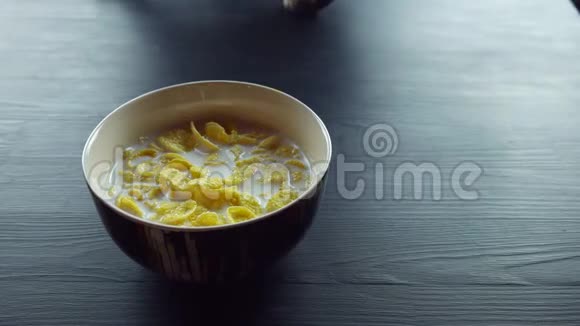孟加拉猫爬上桌子用玉米片嗅着牛奶视频的预览图