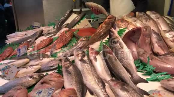 在西班牙的马拉加市场上被挖出来的鱼近距离拍摄鱼贩手视频的预览图
