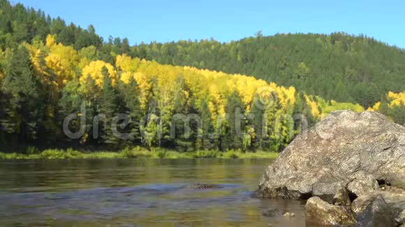 前景是一块被河洗过的大石头背景是一片离焦的秋林和蓝天视频的预览图