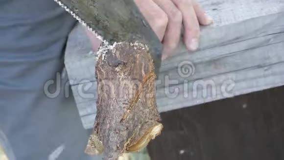 工人用手锯树枝手工工作钢锯生活方式男人锯木头用钢锯锯木头的人视频的预览图