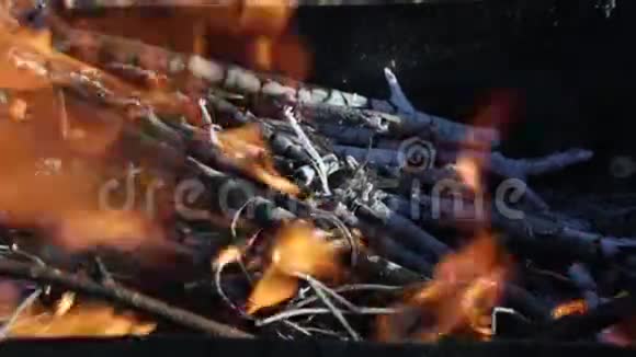 木柴在火里燃烧火焰舌视频的预览图