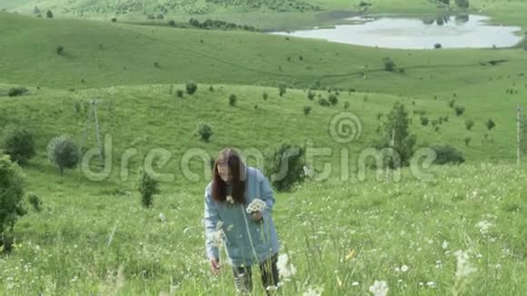 一个女人在田野里收集一束野花视频的预览图