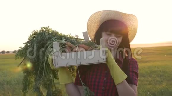一个带着一盒新鲜蔬菜的女农民正在日落的田野上走着清洁质量和视频的预览图