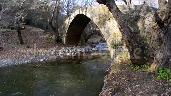 齐莱福斯大桥的景观帕福斯森林塞浦路斯视频的预览图