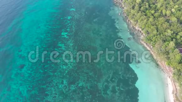 电影飞行拍摄于蓝色的海洋和岩石海岸边缘的密林与丛林视频的预览图