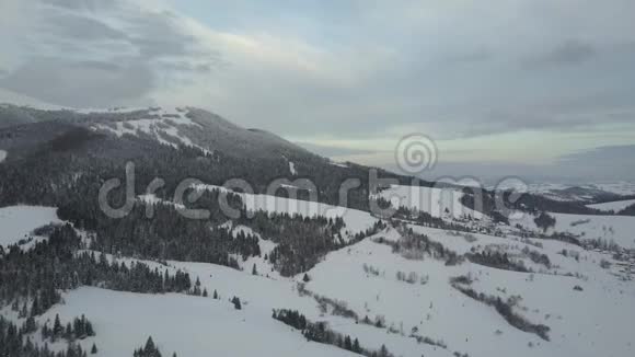 鸟鸟眼鸟瞰覆盖松林的冬山在喀尔巴阡山的一个村庄上空飞行视频的预览图