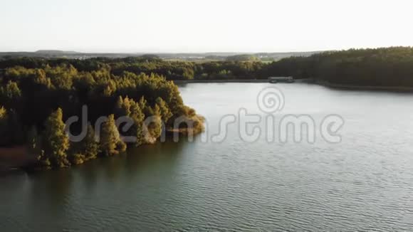 绚丽的宁静自然无人驾驶飞机在平静的秋湖上空飞向绿林在壮丽的宁静日出中视频的预览图