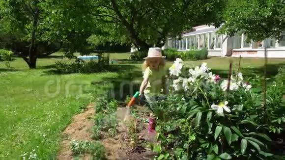 孩子在晴天使用花园软管小园丁在浇花万向节视频的预览图