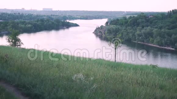 穿着红色T恤岛屿河流草地树木的壮汉的全景视频的预览图