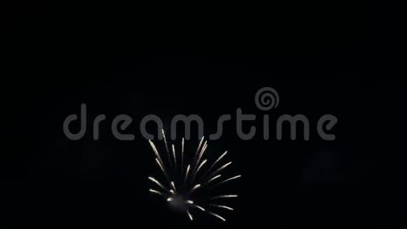除夕夜五彩缤纷的烟花在夜空中闪闪发光烟花表演的庆祝背景视频的预览图