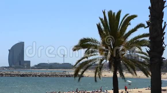 巴塞罗那海滩上的棕榈树视频的预览图