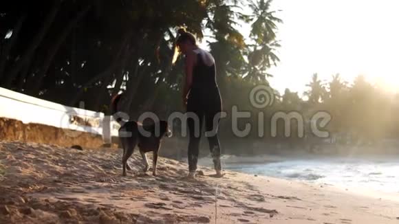 苗条的女士和嬉戏的狗在沙滩上散步视频的预览图