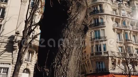 美丽的电影移动在大树旧公寓街区和史诗埃菲尔铁塔地标在阳光明媚的秋天上午巴黎视频的预览图