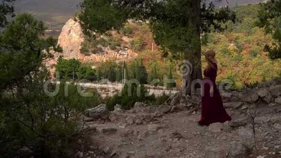 优雅的女孩穿着长长的紫色设计师连衣裙走在秋天的森林里视频的预览图