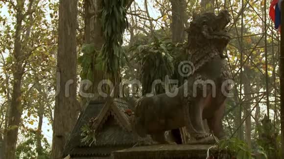 一座由实心石头制成的护狮老雕像视频的预览图