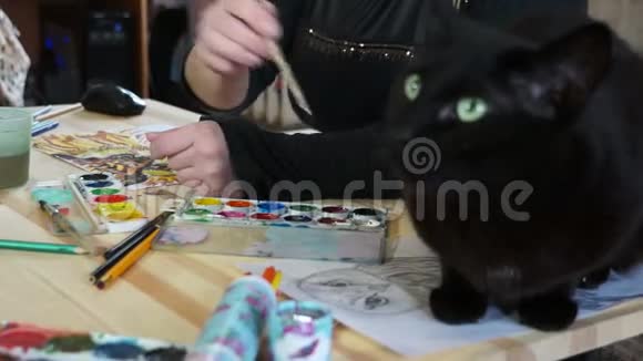 艺术家办公桌上黑猫视频的预览图