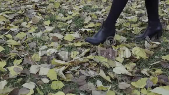 落叶开始了一个女人在秋天公园的落叶上散步视频的预览图