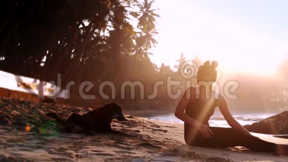 女士和黑狗坐在阳光下的沙滩上视频的预览图