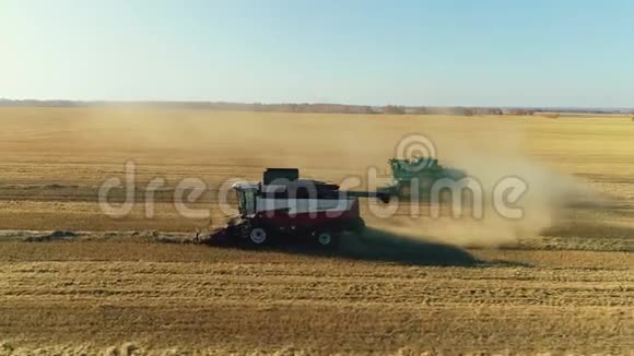 从事大麦田农业小麦收获农场的组合视频的预览图