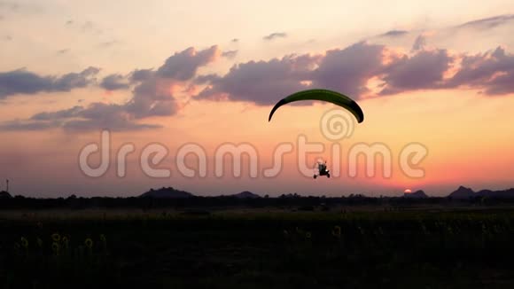 日落时滑翔伞在向日葵田上空逆天飞行的慢动作视频的预览图