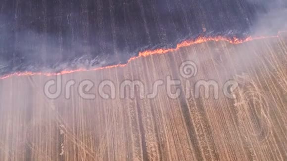 未控制的农村火灾焚烧厂视频的预览图