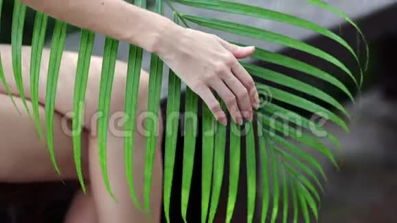 一只雌手慢慢地握住一片热带植物的叶子视频的预览图