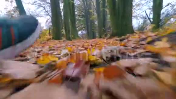 在秋天的森林里人们在路上奔跑训练视频的预览图