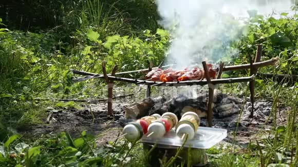 肉和蔬菜肉串旅游业在大自然中做饭在河岸上视频的预览图