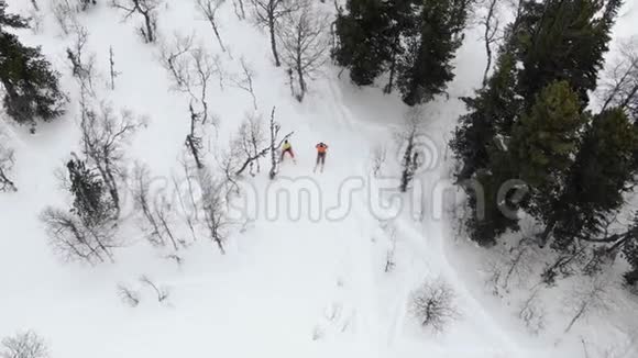 专业滑雪者的侧影沿着林道移动视频的预览图