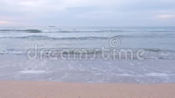 自然背景以沙海滩为主小泡长波日落时鸟鸣视频的预览图