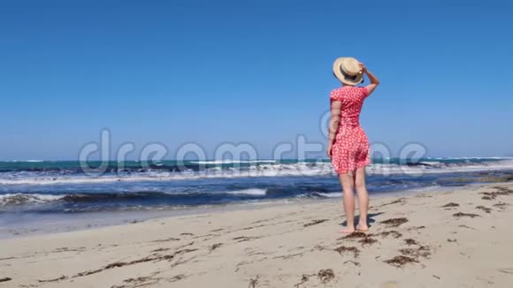 年轻迷人的女人拿着她的帽子穿着红色的裙子看着暴风雨的大海和地平线红色的裙子在w上拍打视频的预览图