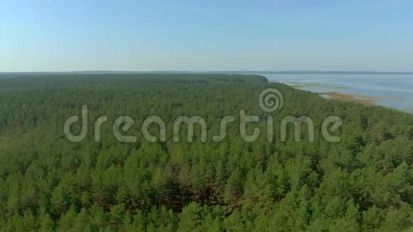 从绿色森林到湖面的全景视频的预览图