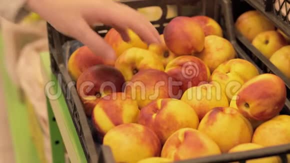 素食孕妇在超市按库存选择油桃篮子里美丽而成熟的水果手拿起来视频的预览图