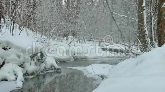 冬季森林中有雪岸的无冻河下雪了视频的预览图