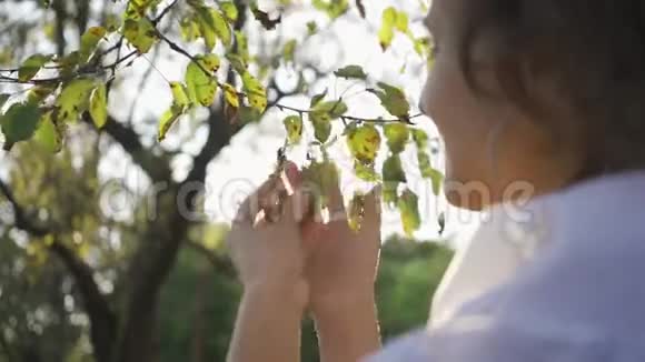 年轻女孩在阳光下摸着树早午餐在花园或公园欣赏日落的女人连接视频的预览图