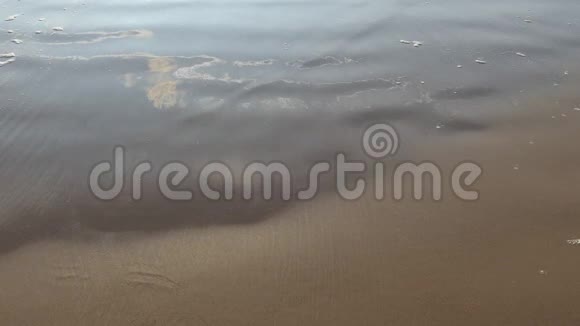 湿沙滩晒砂后浪视频的预览图