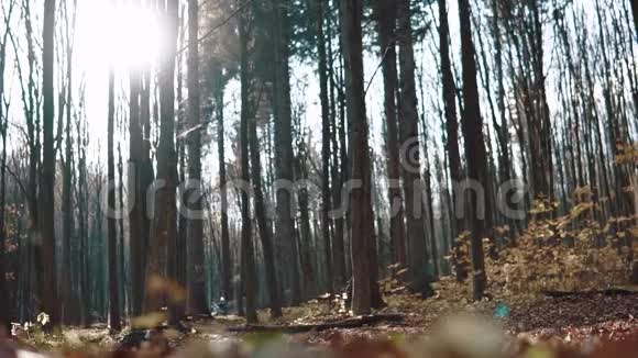 人在越野摩托车上玩得开心在秋天的森林里骑积极的生活方式极限运动恩杜罗自行车手慢装视频的预览图