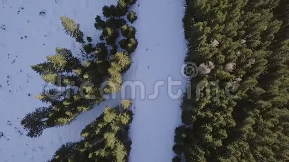 滑雪坡穿过森林和山峰空中全景视频的预览图