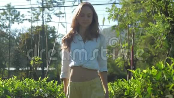 漂亮的金发姑娘慢条斯理地走在绿茶种植园里视频的预览图