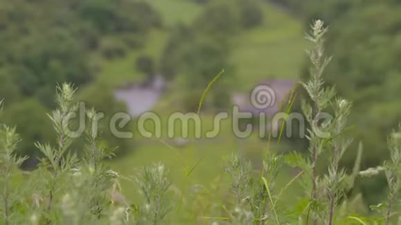 英国山顶区蒙萨尔谷的全景视频的预览图