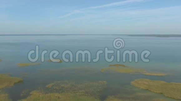 空中照相机从水中向松林中倾斜视频的预览图