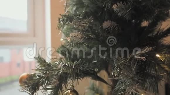 绿色圣诞树在温暖的公寓里拍摄4K镜头视频的预览图