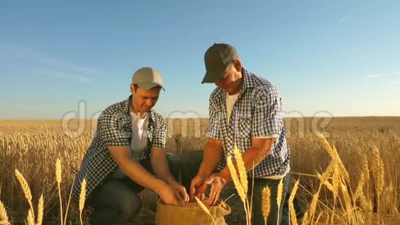 商人检查粮食质量农业概念农民和商人的团队合作农学家和农民视频的预览图