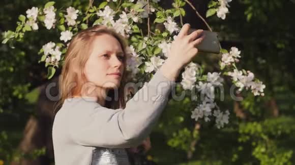 快乐的年轻女子正在一棵盛开的苹果树旁用智能手机拍摄自拍照片春天的城市公园就在那里视频的预览图
