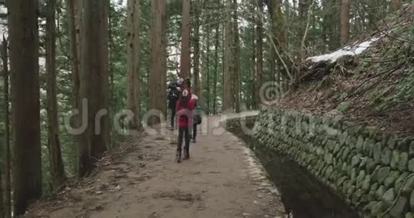 一个穿着红色夹克的年轻女孩走在森林小径上一个女人和一个小男孩伸出舌头去接雪视频的预览图