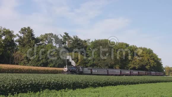 老式蒸汽客运列车在乡村等候乘客视频的预览图