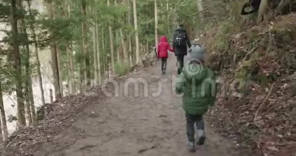 小男孩跑在森林小径上追赶他的妹妹和母亲视频的预览图